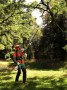Chainsaws