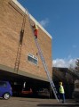Extension Ladder 12m extended