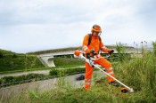 Heavy Duty Brushcutter