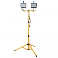 Twin Head LED Floodlight