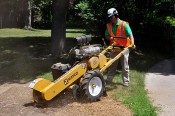 25hp Pedestrian Stump Grinder